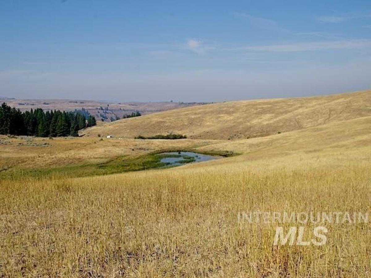 Picture of Residential Land For Sale in Council, Idaho, United States