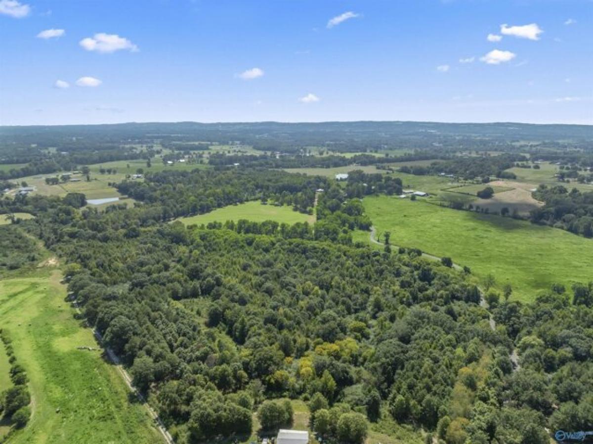 Picture of Residential Land For Sale in Horton, Alabama, United States