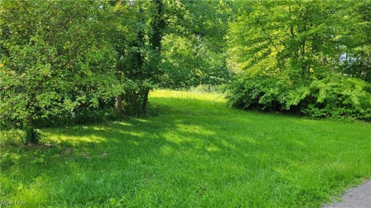 Picture of Residential Land For Sale in Girard, Ohio, United States