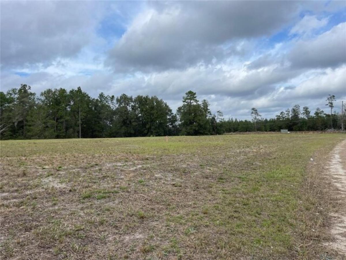 Picture of Residential Land For Sale in Bronson, Florida, United States