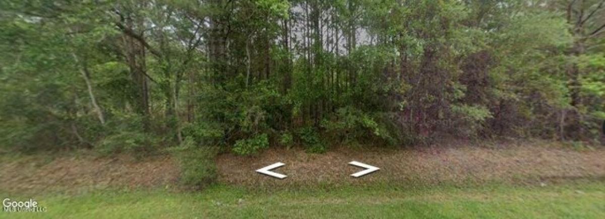 Picture of Residential Land For Sale in Bay Saint Louis, Mississippi, United States