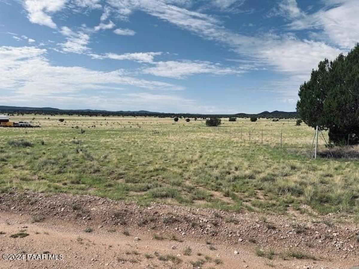 Picture of Residential Land For Sale in Seligman, Arizona, United States