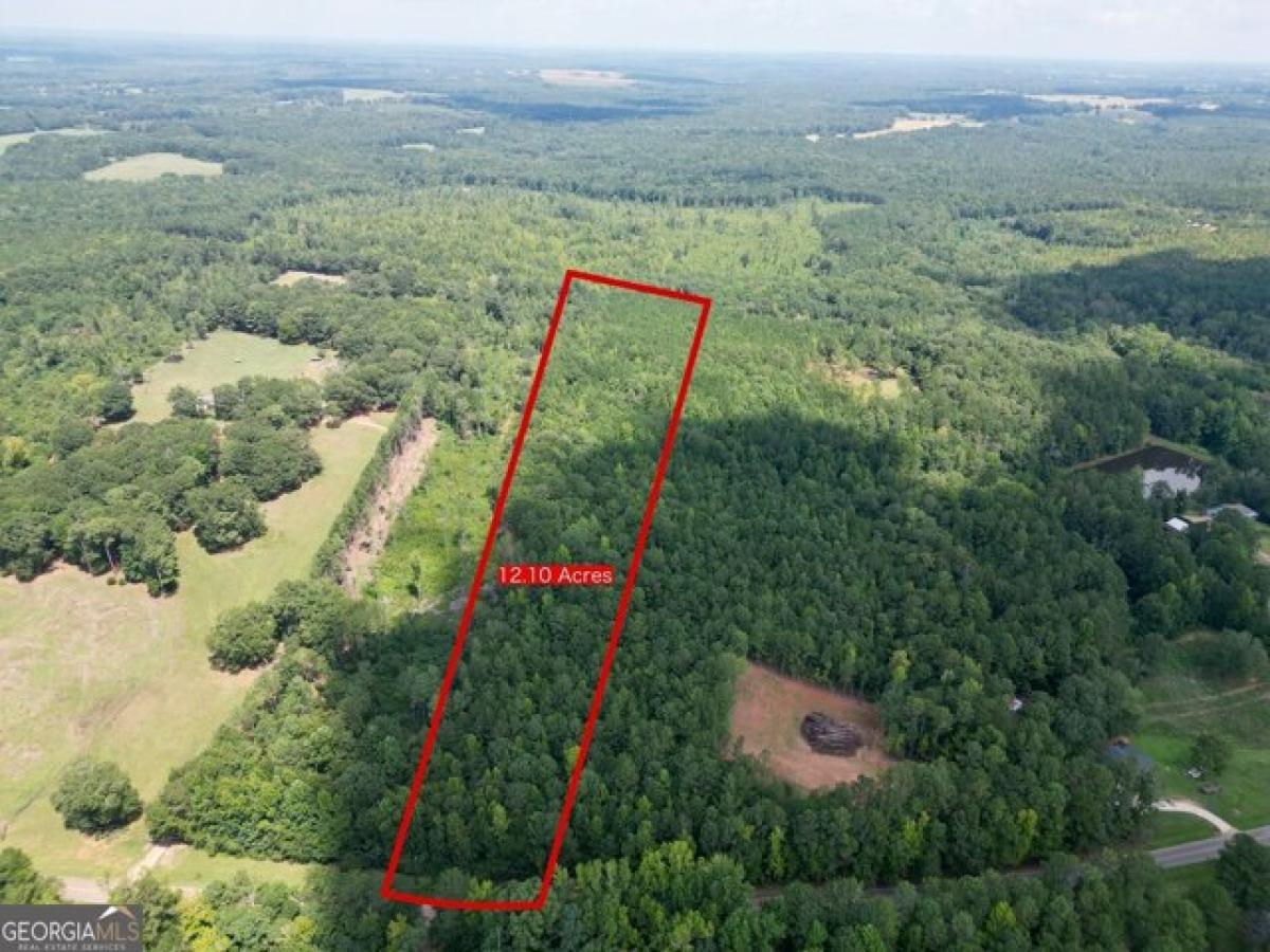 Picture of Residential Land For Sale in Yatesville, Georgia, United States