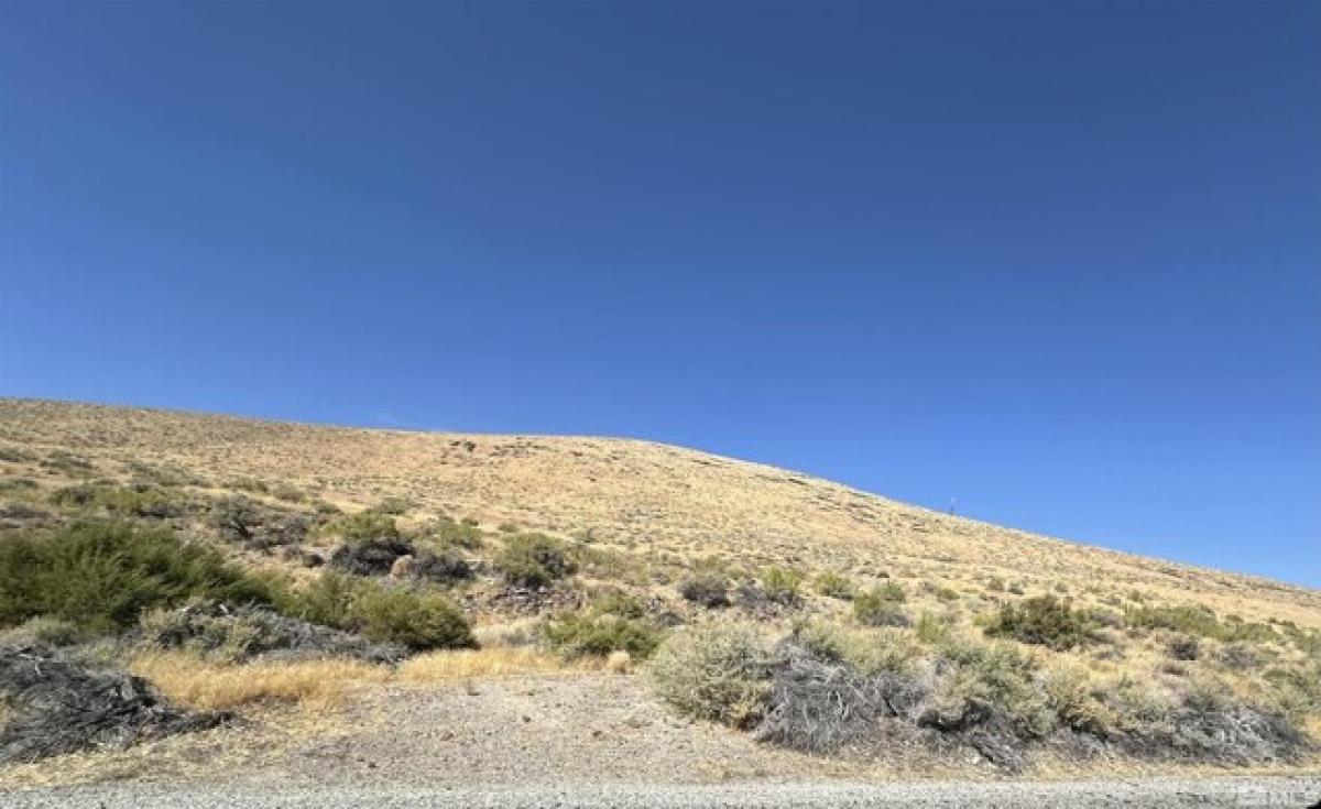 Picture of Residential Land For Sale in Yerington, Nevada, United States