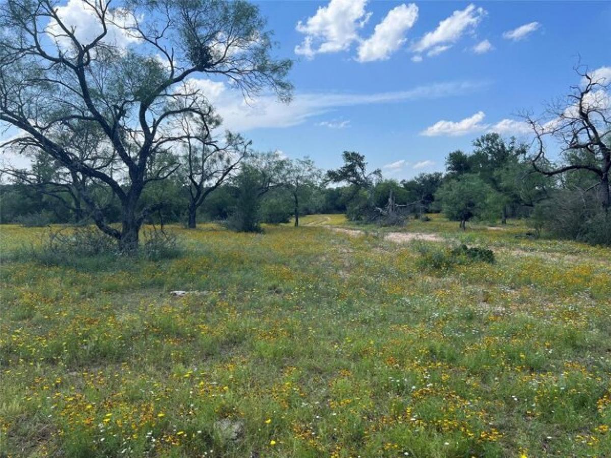 Picture of Residential Land For Sale in Mullin, Texas, United States