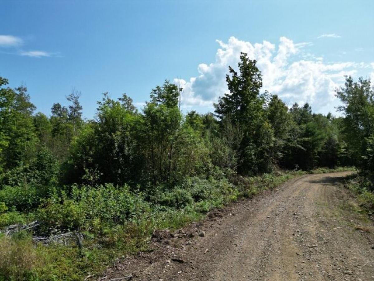 Picture of Residential Land For Sale in Springfield, Maine, United States