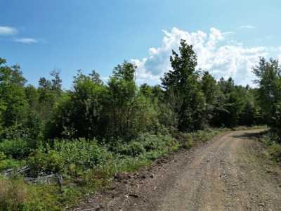 Residential Land For Sale in 