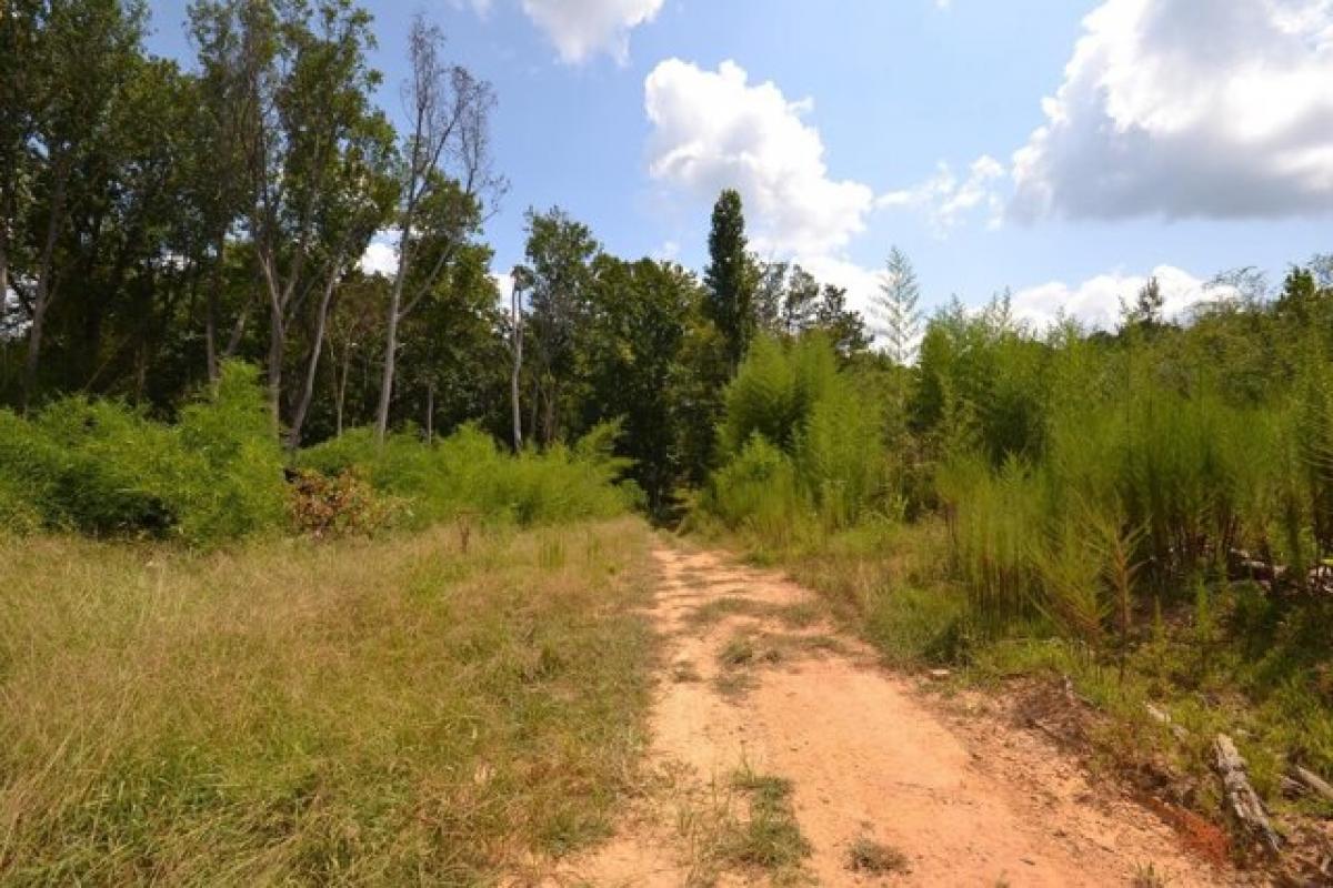 Picture of Residential Land For Sale in Vinemont, Alabama, United States