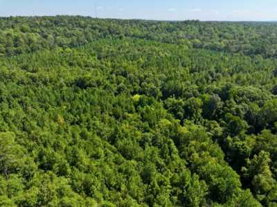 Residential Land For Sale in Jackson, Alabama