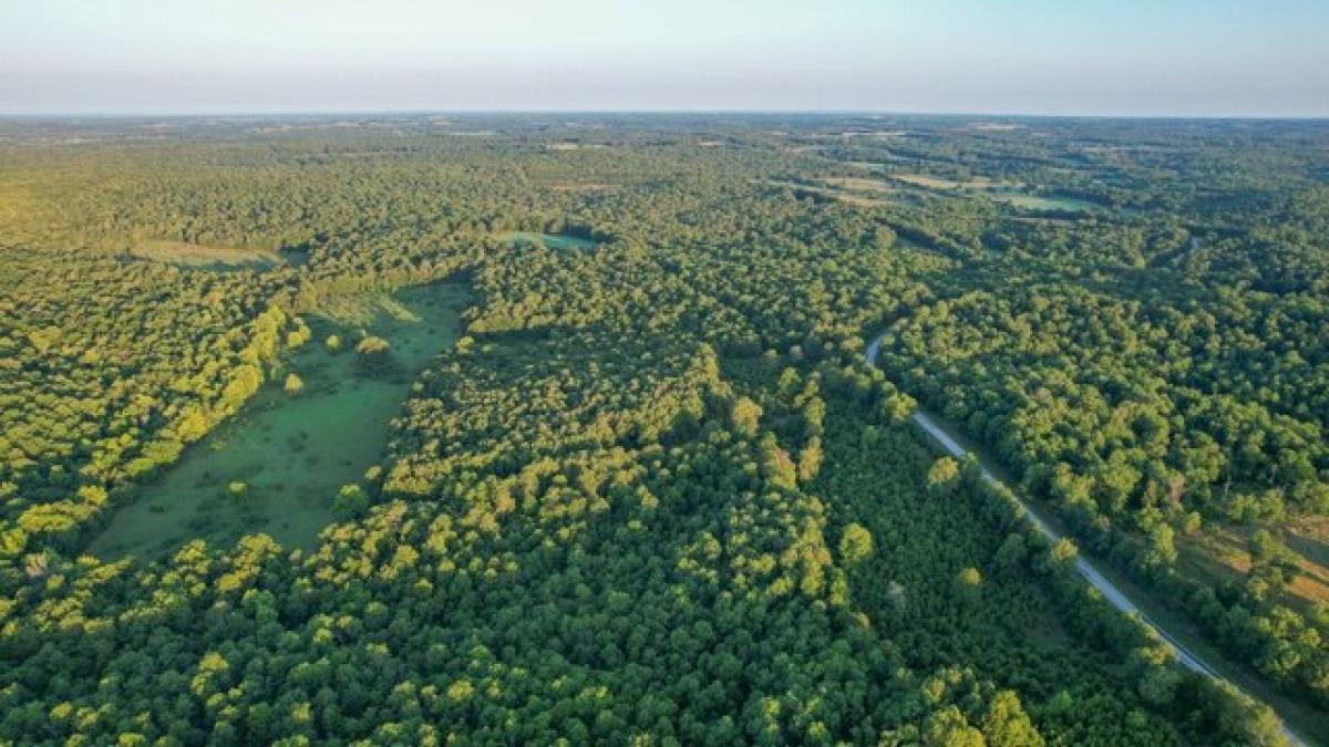 Picture of Residential Land For Sale in West Plains, Missouri, United States