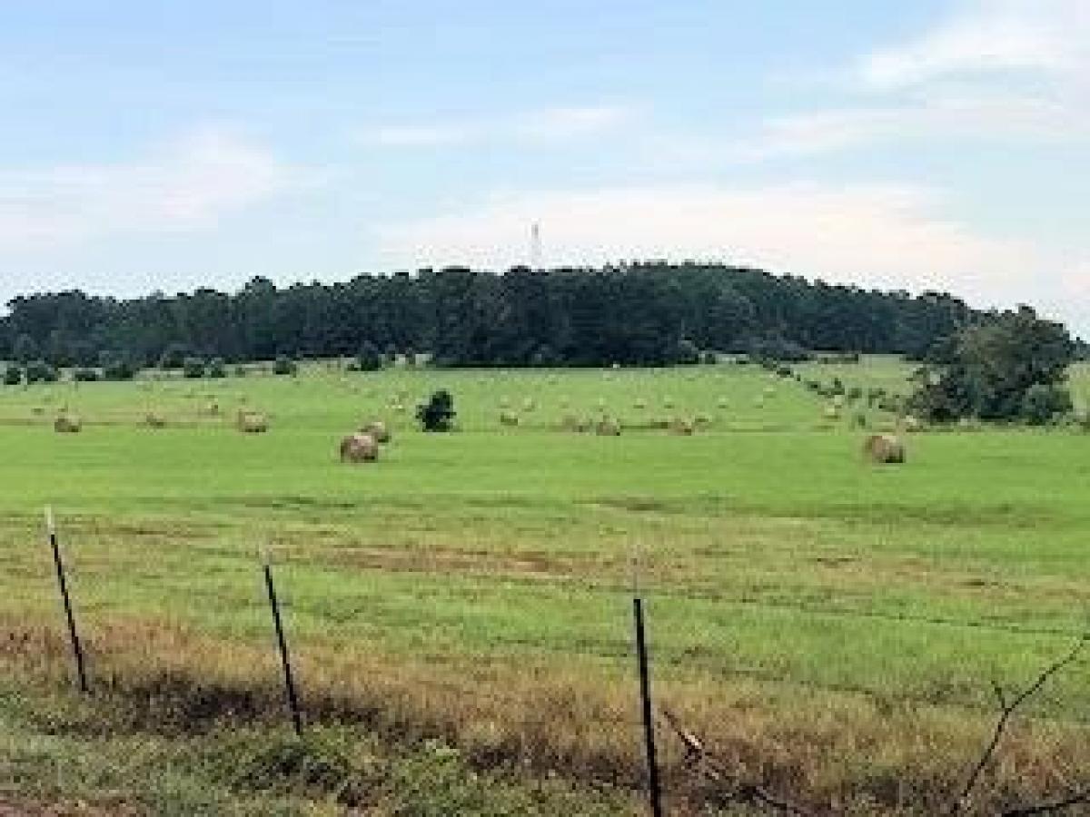 Picture of Residential Land For Sale in Palestine, Texas, United States