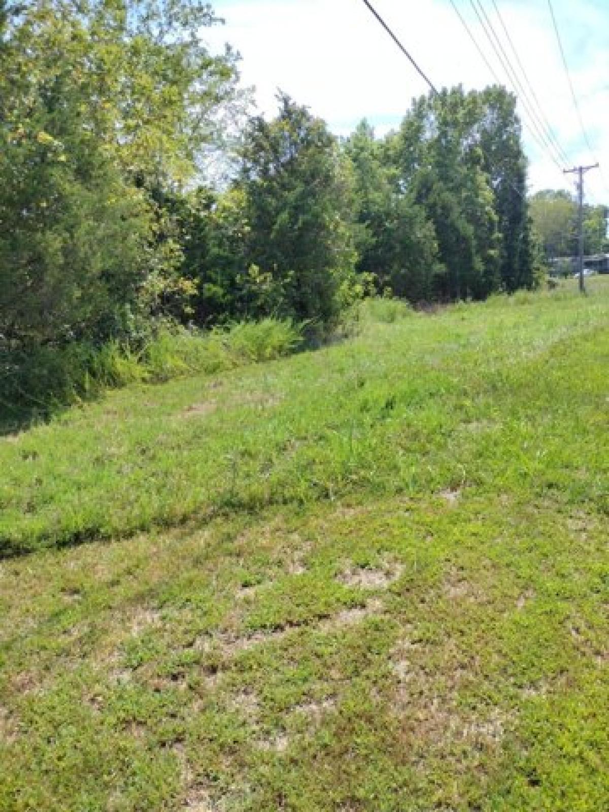 Picture of Residential Land For Sale in Highlandville, Missouri, United States