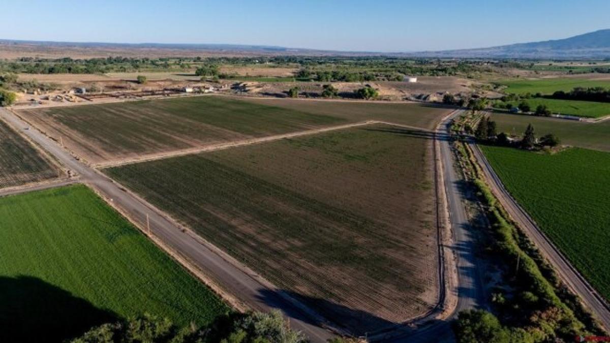 Picture of Residential Land For Sale in Olathe, Colorado, United States