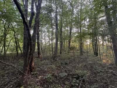 Residential Land For Sale in Spencer, Tennessee