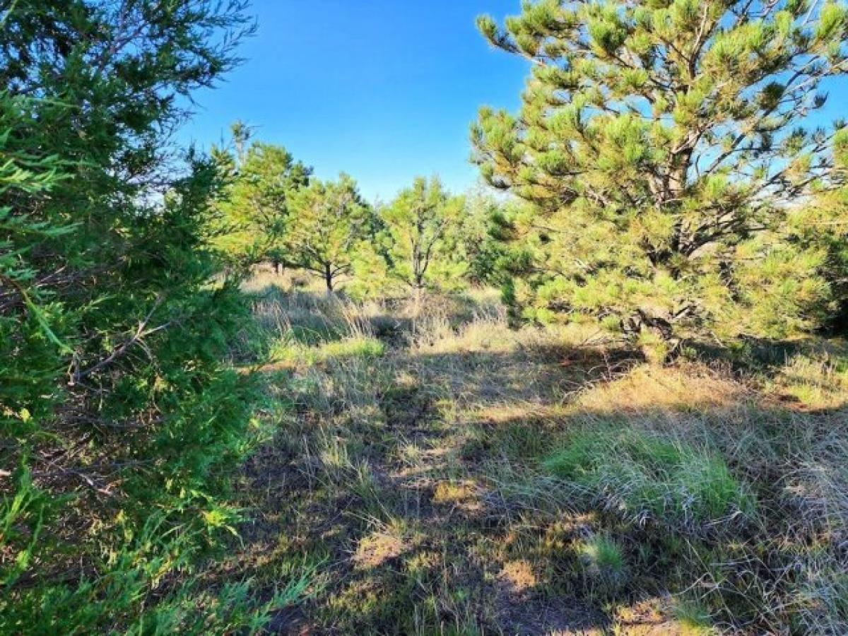 Picture of Residential Land For Sale in Peetz, Colorado, United States