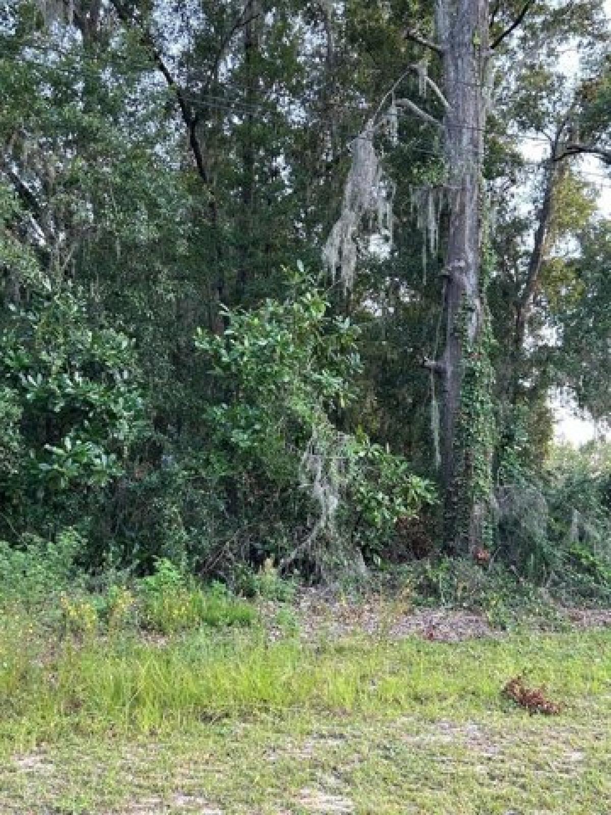 Picture of Residential Land For Sale in Lake Park, Georgia, United States