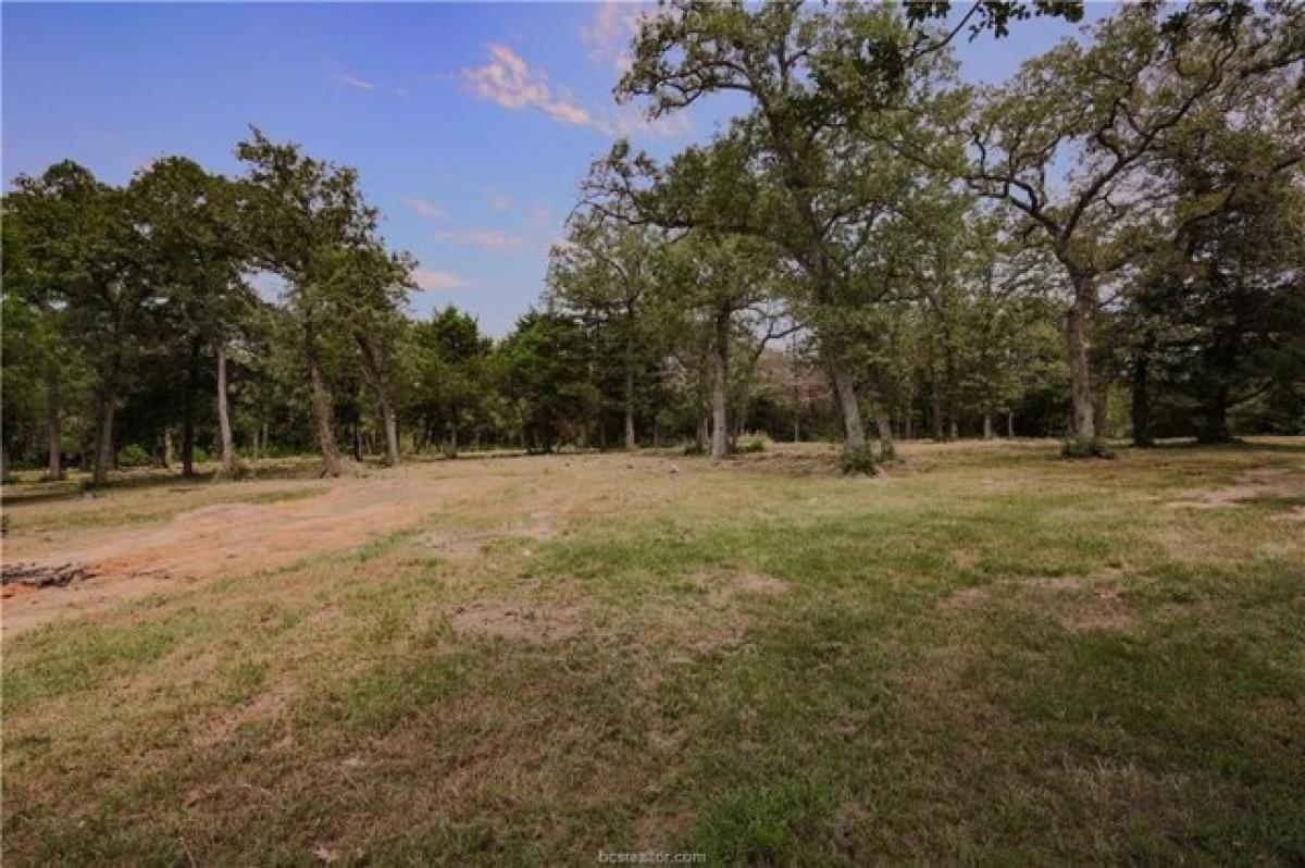 Picture of Residential Land For Sale in Somerville, Texas, United States