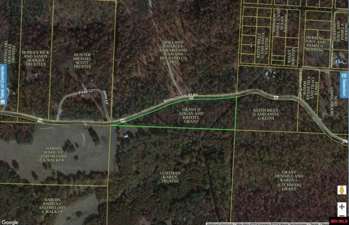 Picture of Residential Land For Sale in Elizabeth, Arkansas, United States