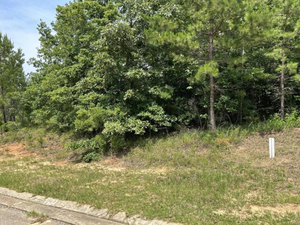 Picture of Residential Land For Sale in Lumberton, Mississippi, United States