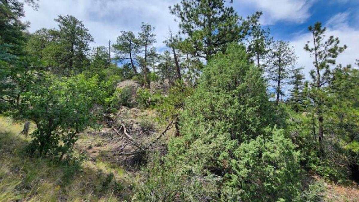 Picture of Home For Sale in Westcliffe, Colorado, United States