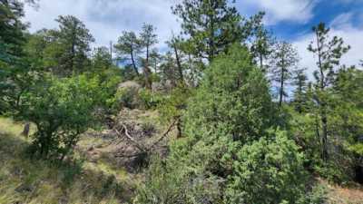 Home For Sale in Westcliffe, Colorado