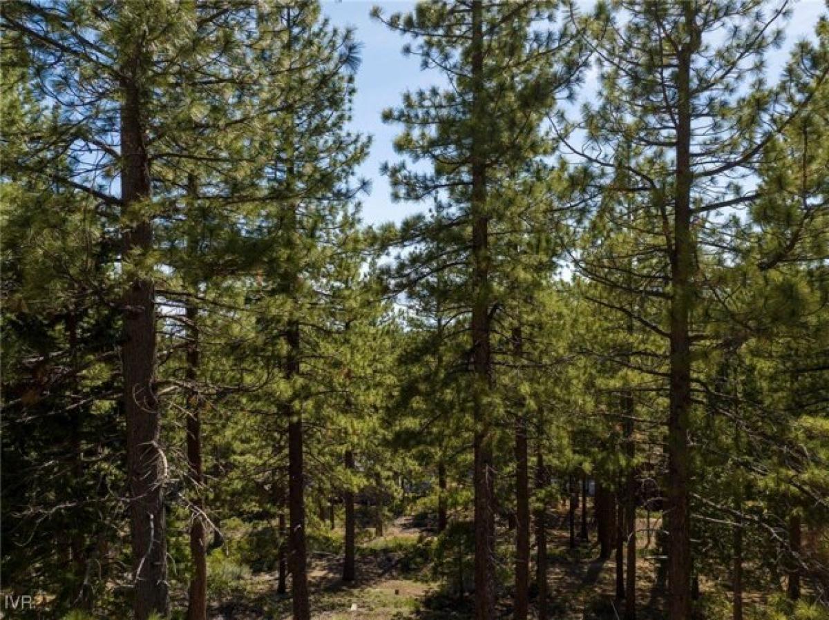 Picture of Residential Land For Sale in Incline Village, Nevada, United States