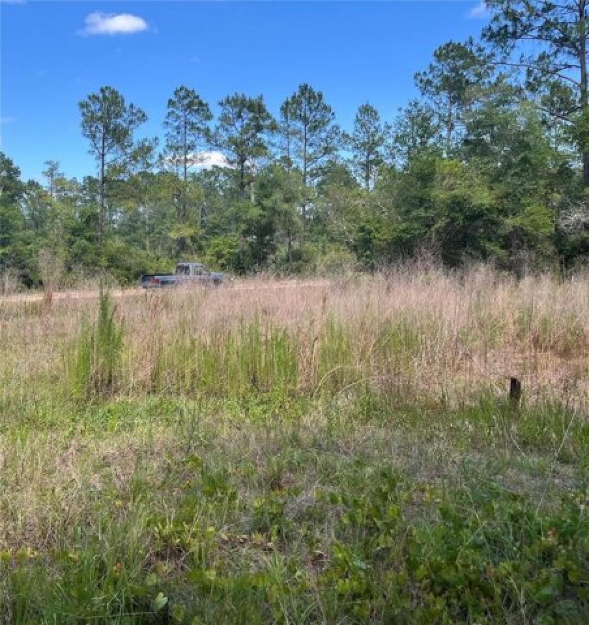 Picture of Residential Land For Sale in Satsuma, Florida, United States