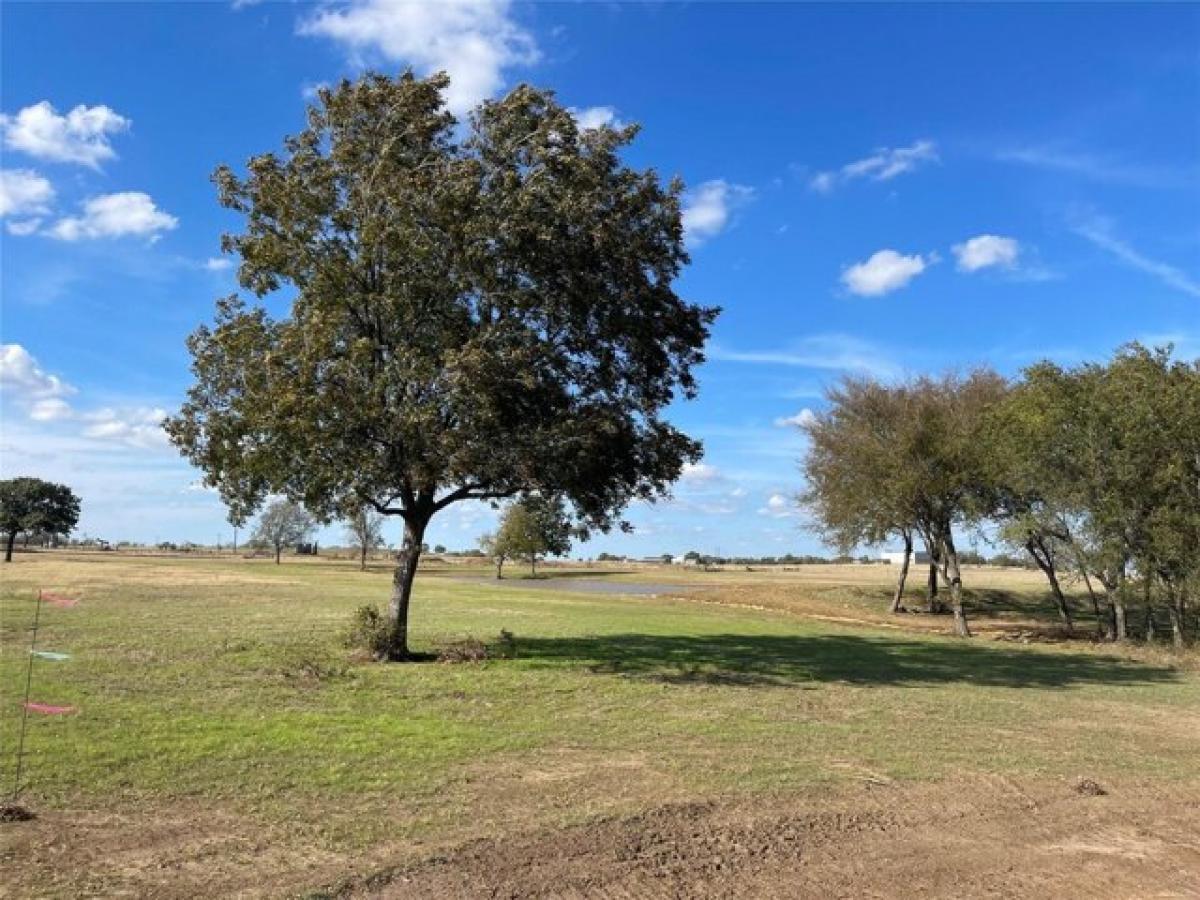 Picture of Residential Land For Sale in Gainesville, Texas, United States