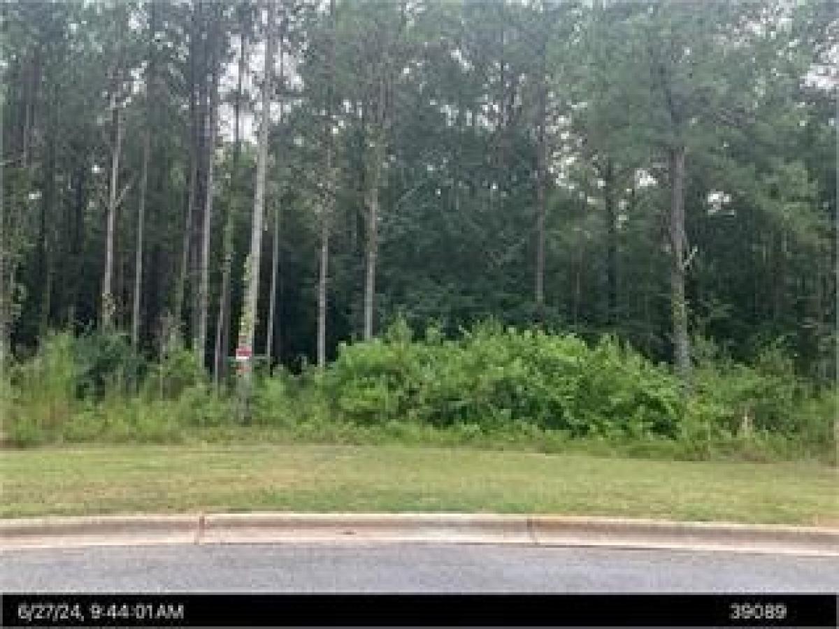 Picture of Residential Land For Sale in Albany, Georgia, United States