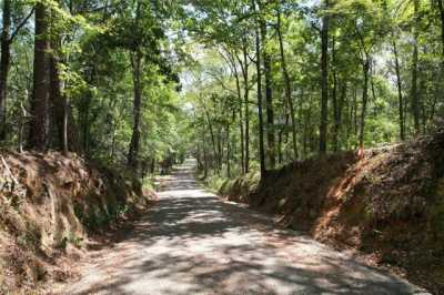 Residential Land For Sale in Winnsboro, Texas