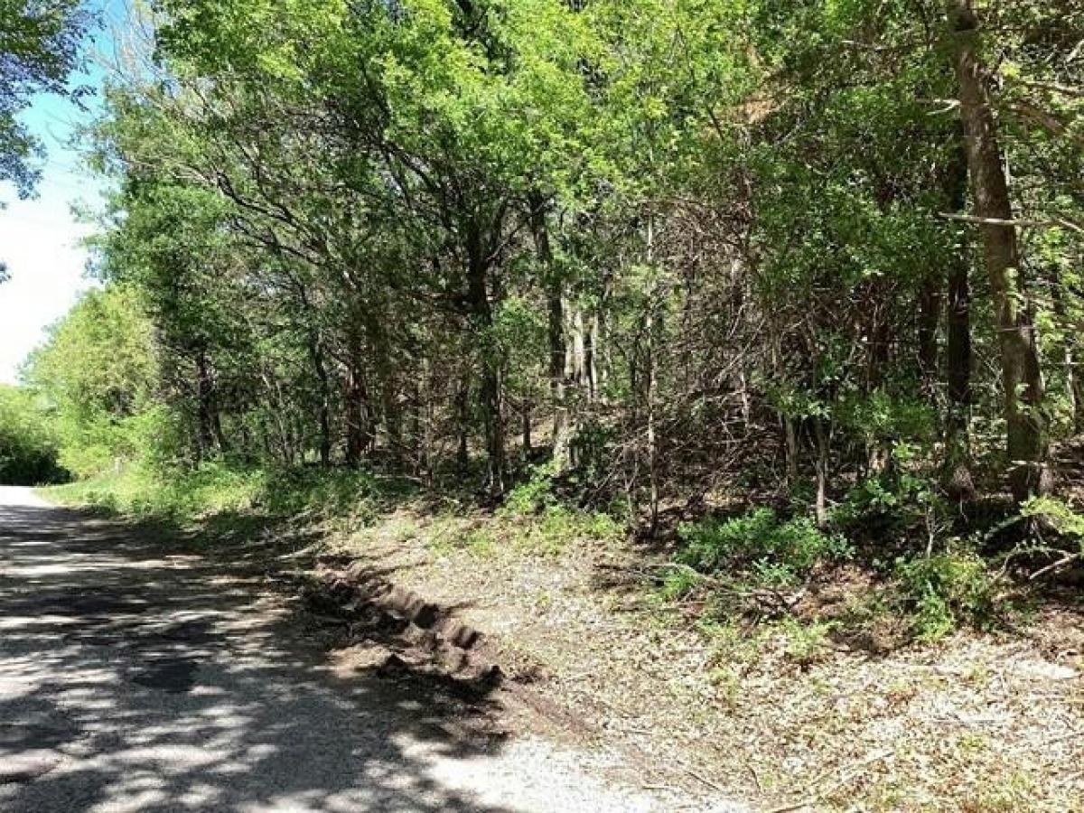 Picture of Residential Land For Rent in Denison, Texas, United States