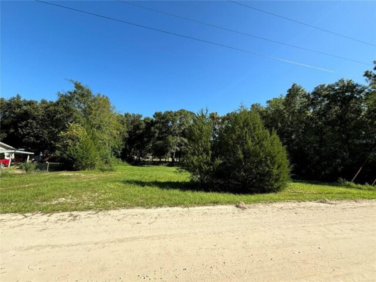 Picture of Residential Land For Sale in Williston, Florida, United States