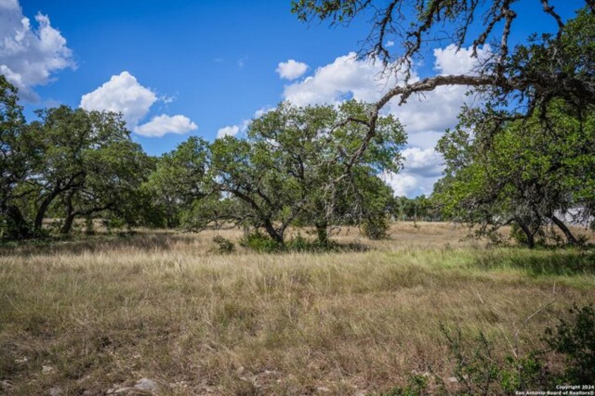 Picture of Residential Land For Sale in Bulverde, Texas, United States