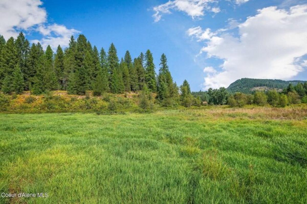 Picture of Residential Land For Sale in Priest River, Idaho, United States