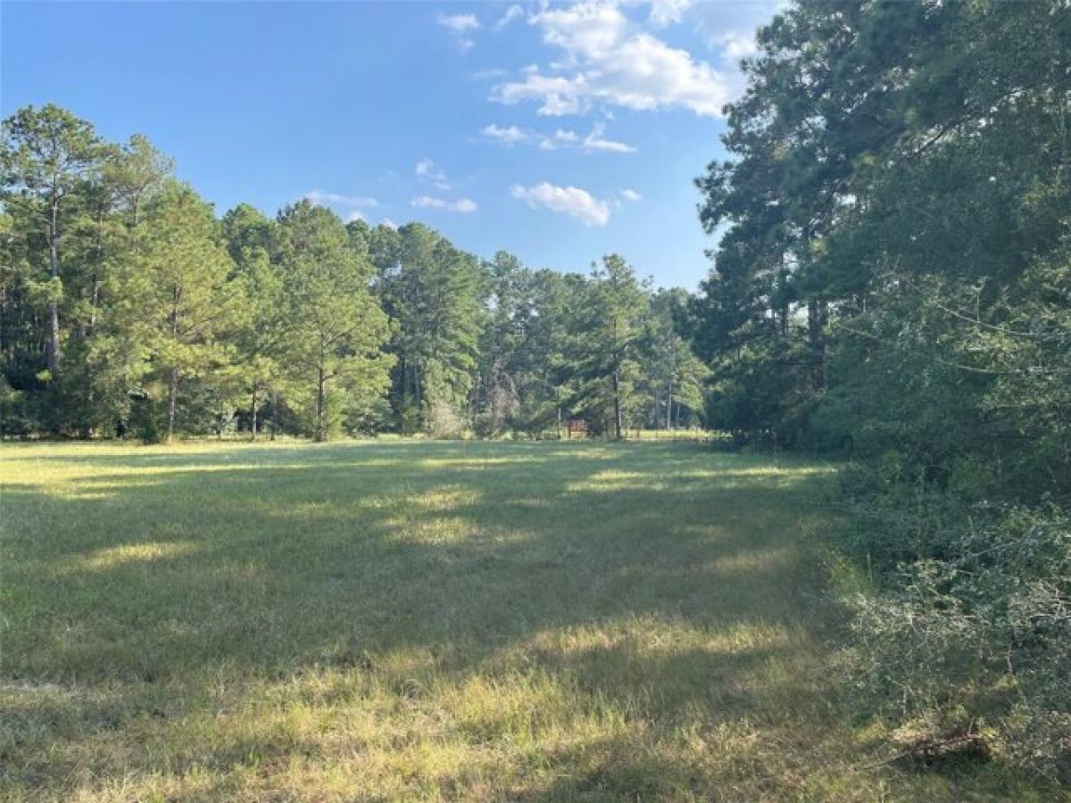 Picture of Residential Land For Sale in Willis, Texas, United States