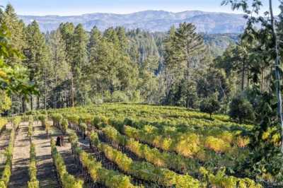 Home For Sale in Napa, California