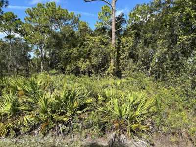 Residential Land For Sale in Weeki Wachee, Florida