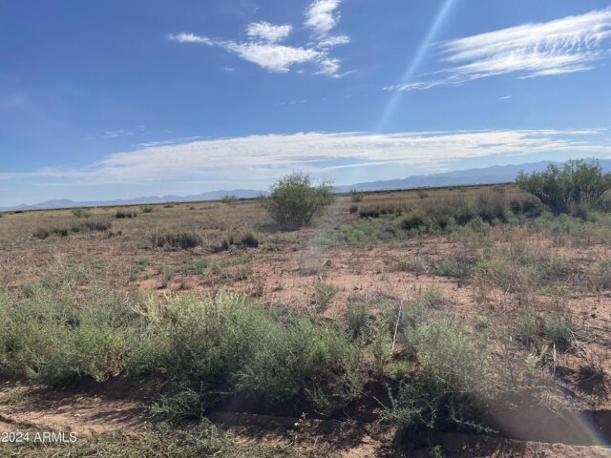 Picture of Residential Land For Sale in Pearce, Arizona, United States