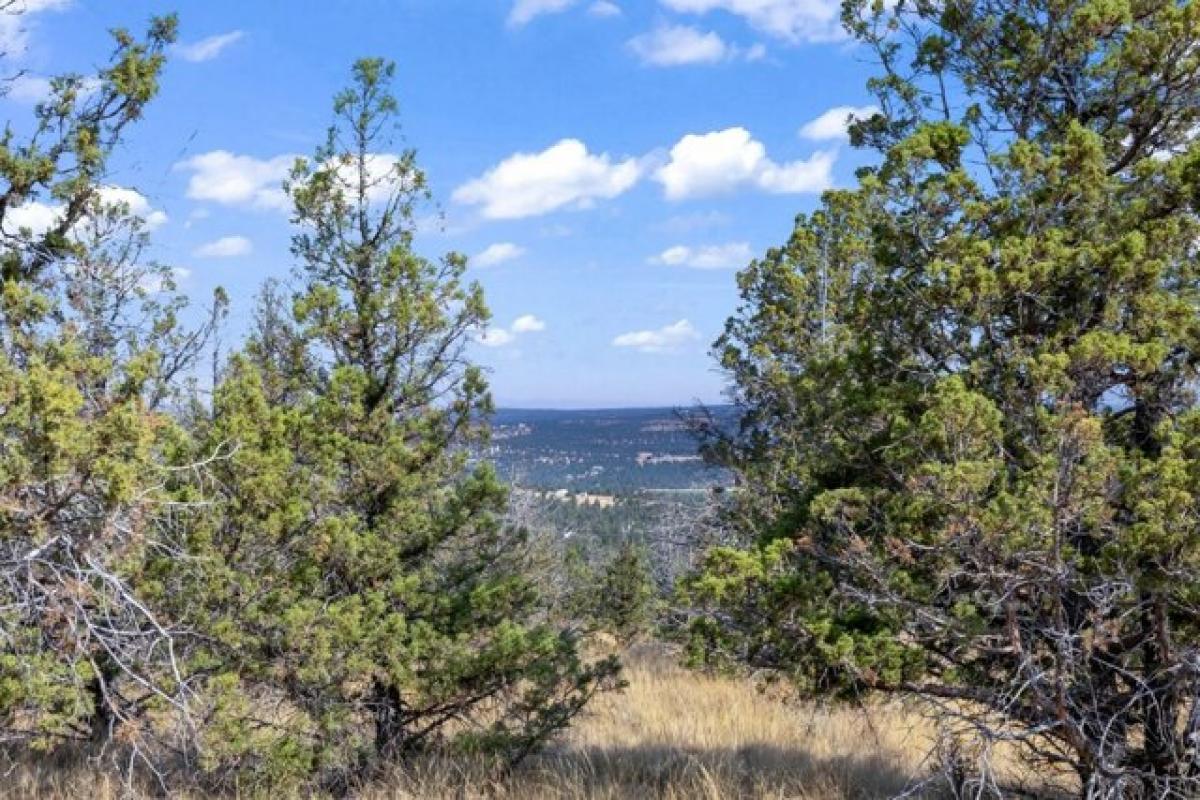 Picture of Residential Land For Sale in Prineville, Oregon, United States