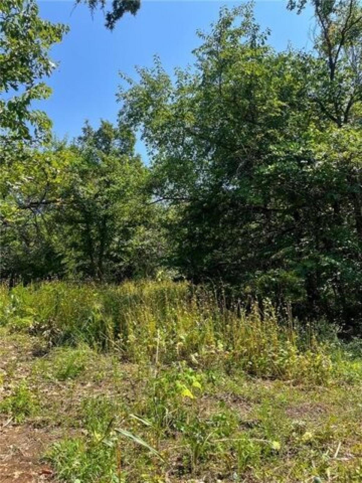 Picture of Residential Land For Sale in Perry, Kansas, United States