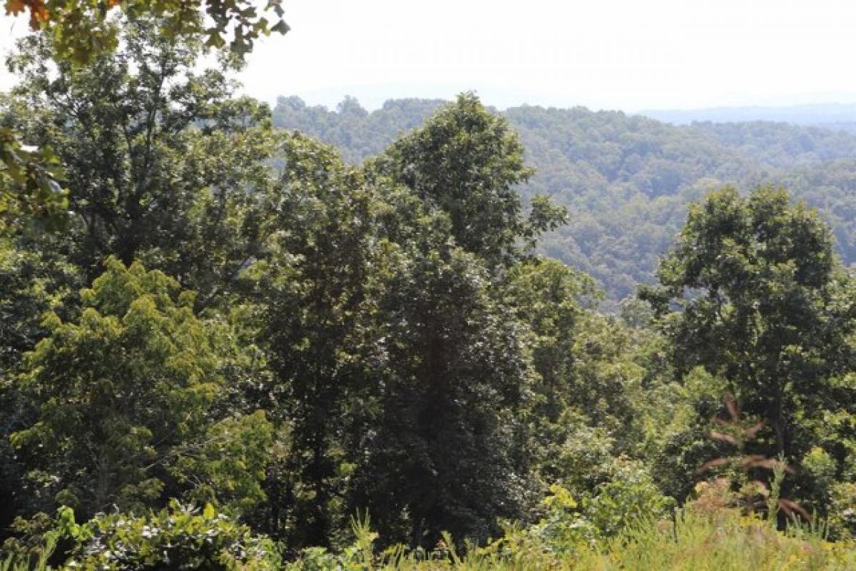 Picture of Residential Land For Sale in Mountain View, Arkansas, United States