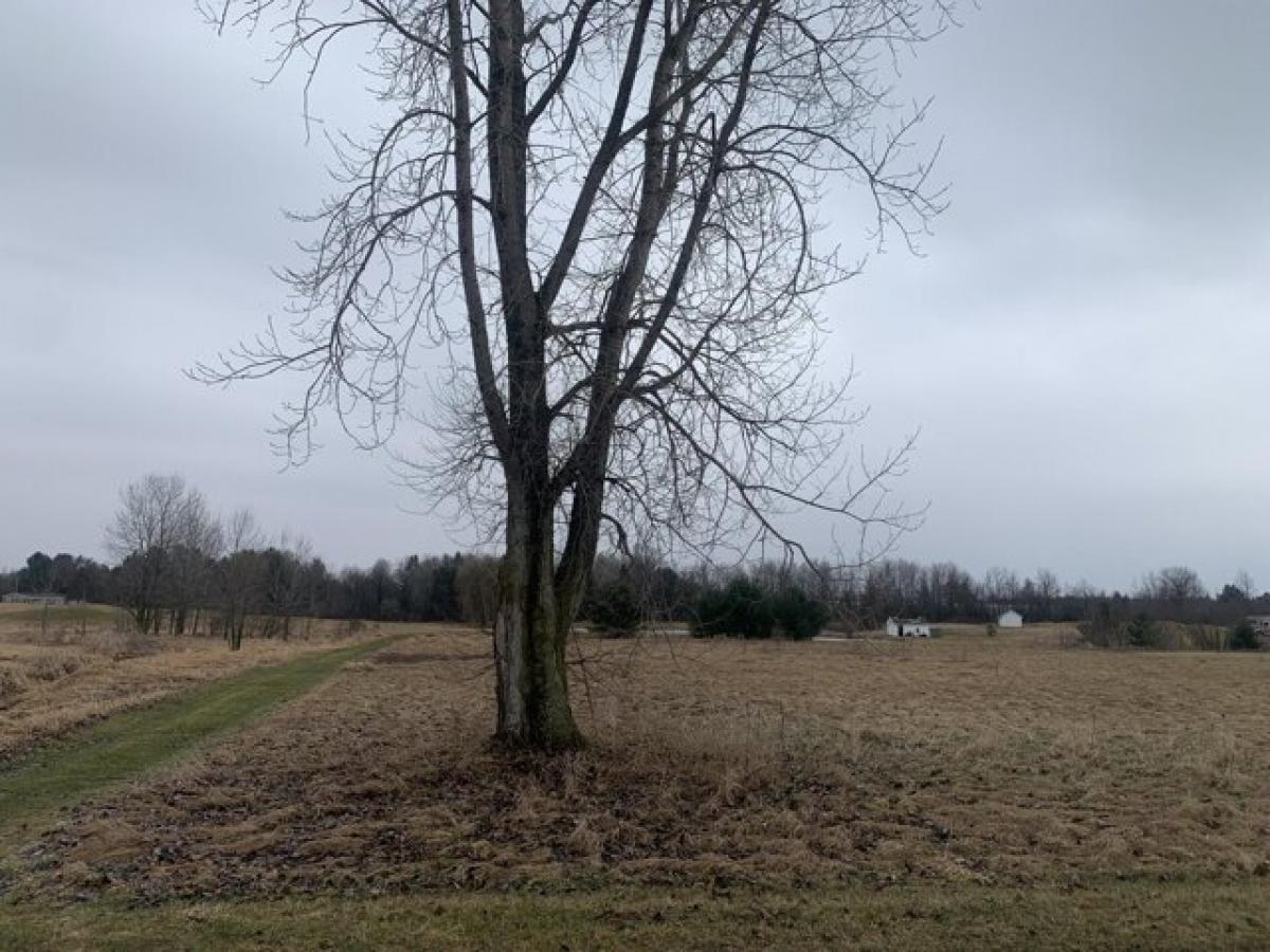 Picture of Residential Land For Sale in Farwell, Michigan, United States