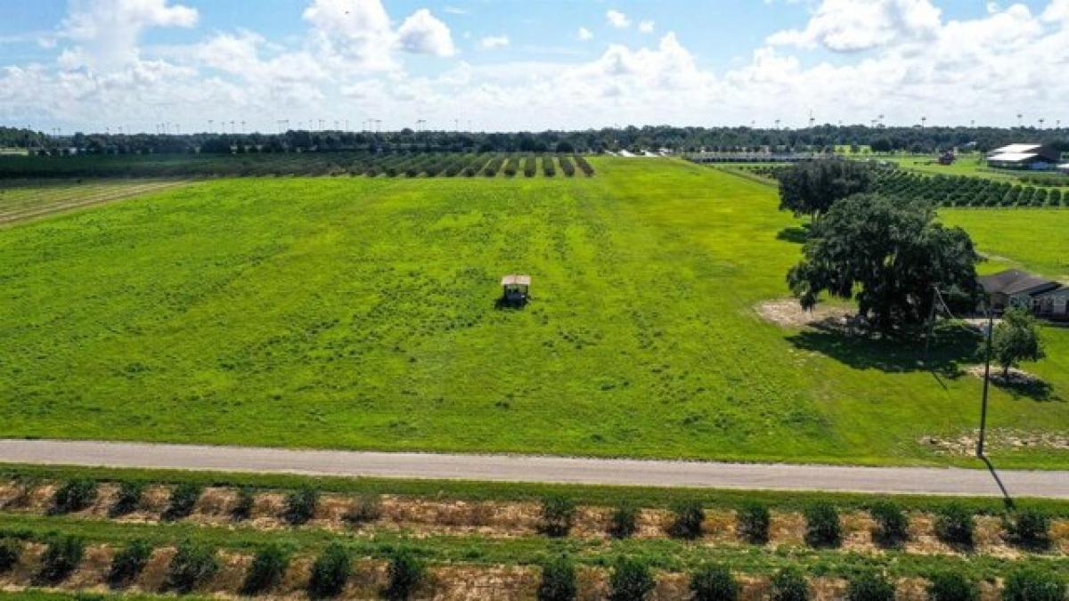 Picture of Residential Land For Sale in Umatilla, Florida, United States