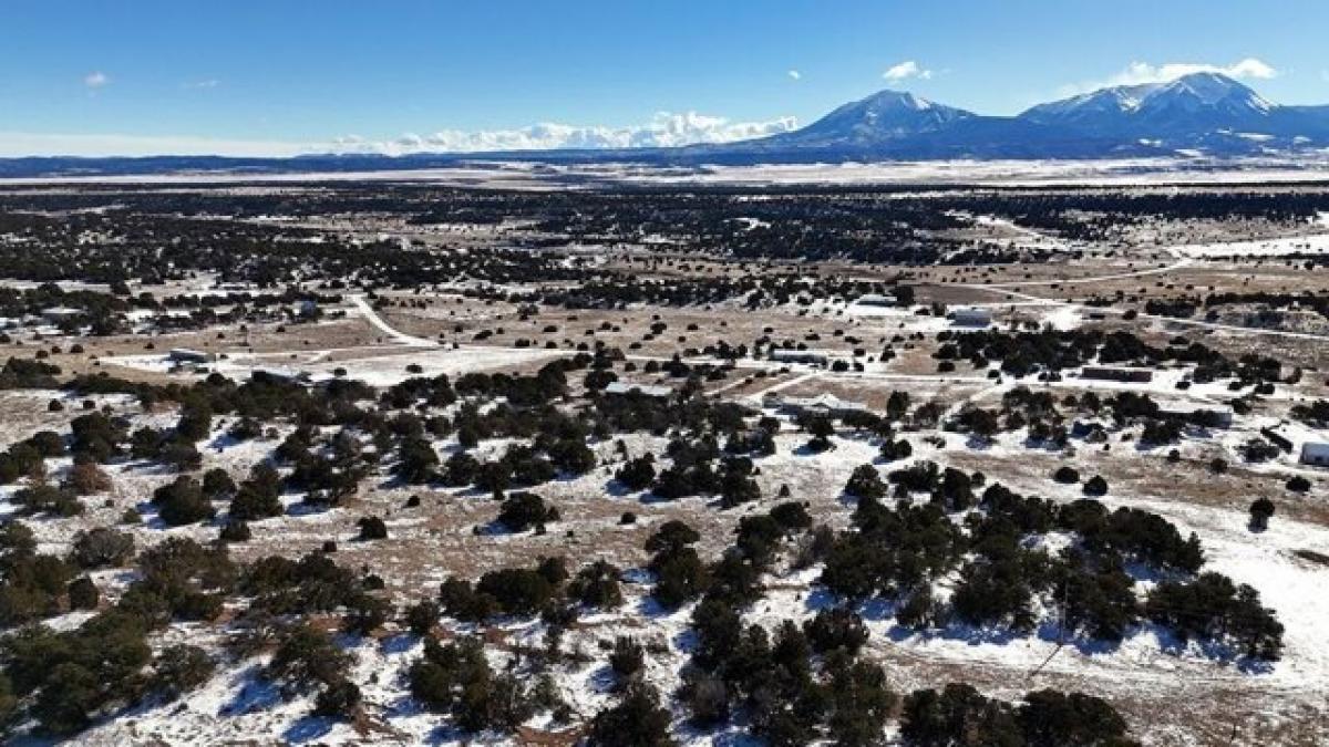 Picture of Residential Land For Sale in Walsenburg, Colorado, United States