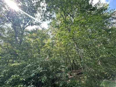 Residential Land For Rent in Terra Alta, West Virginia