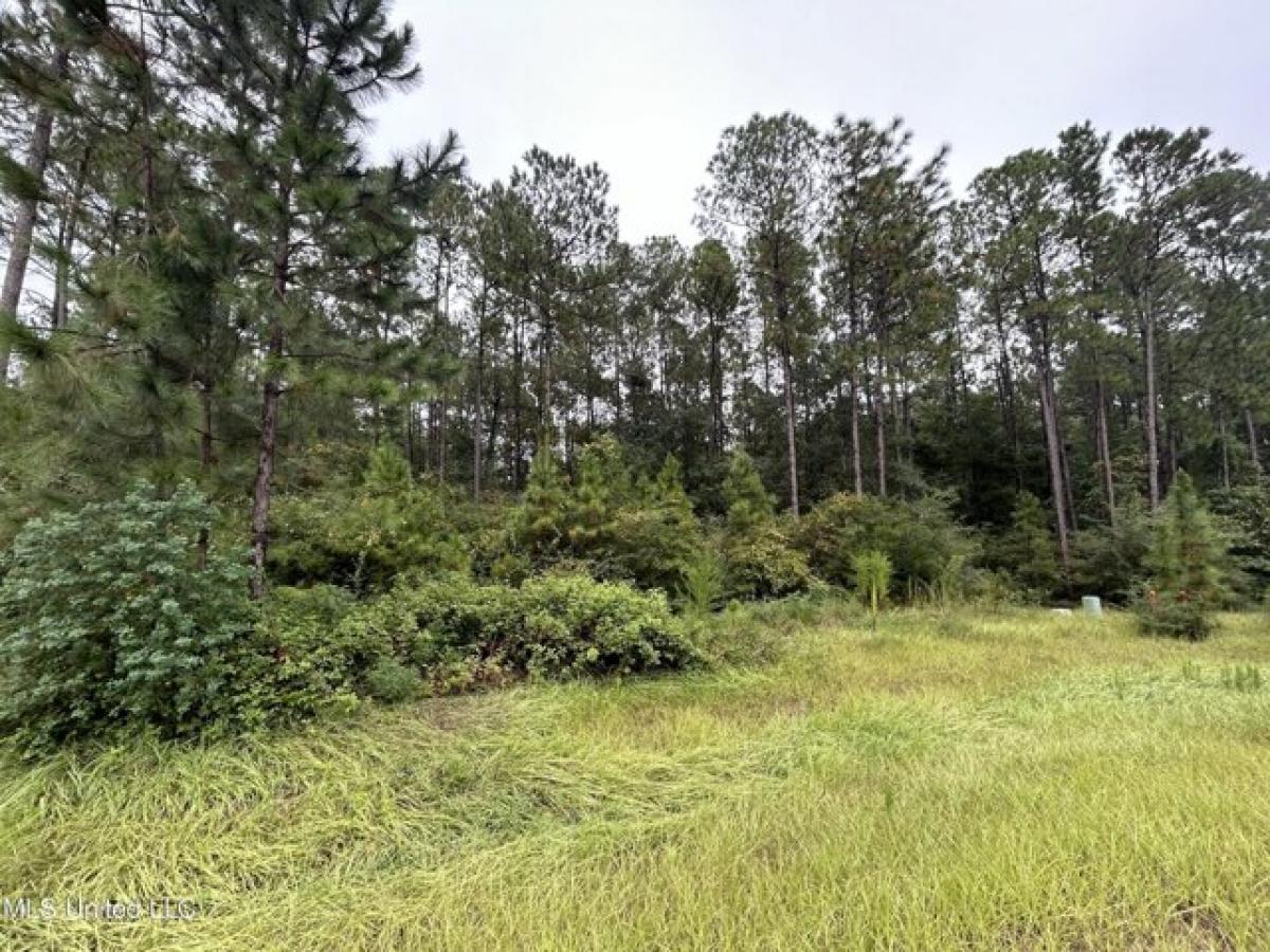 Picture of Residential Land For Sale in Carriere, Mississippi, United States