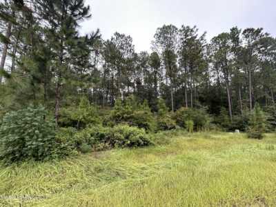 Residential Land For Sale in Carriere, Mississippi