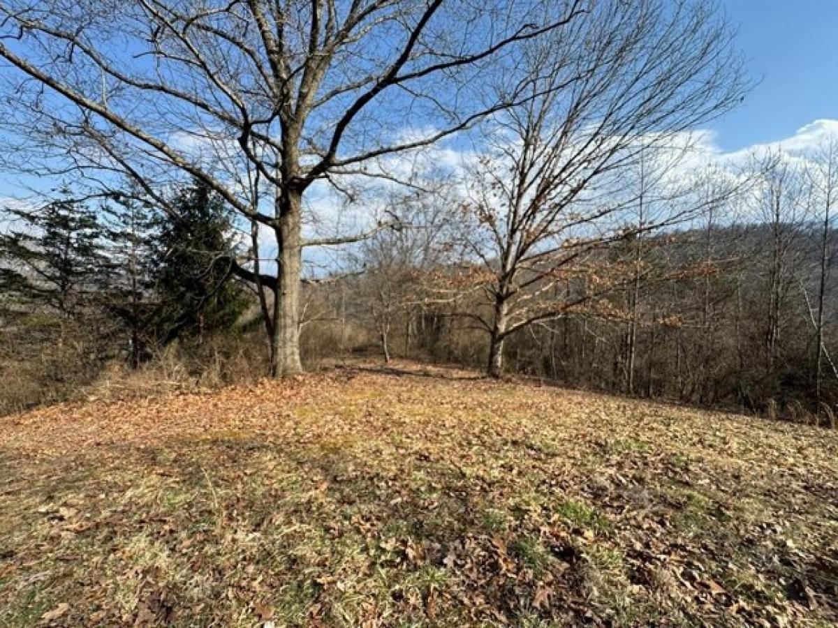 Picture of Residential Land For Sale in Mount Hope, West Virginia, United States