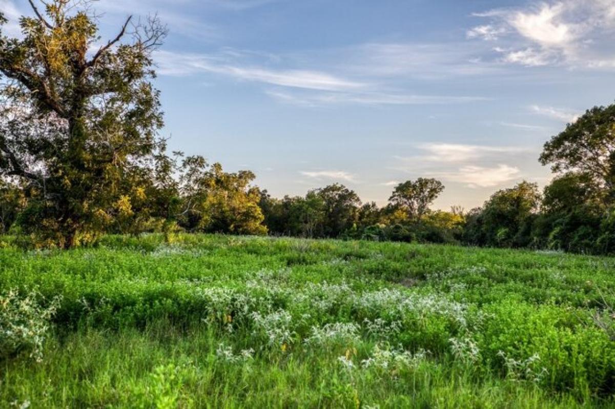 Picture of Residential Land For Sale in Bellville, Texas, United States