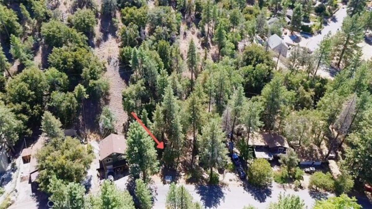 Picture of Residential Land For Sale in Wrightwood, California, United States